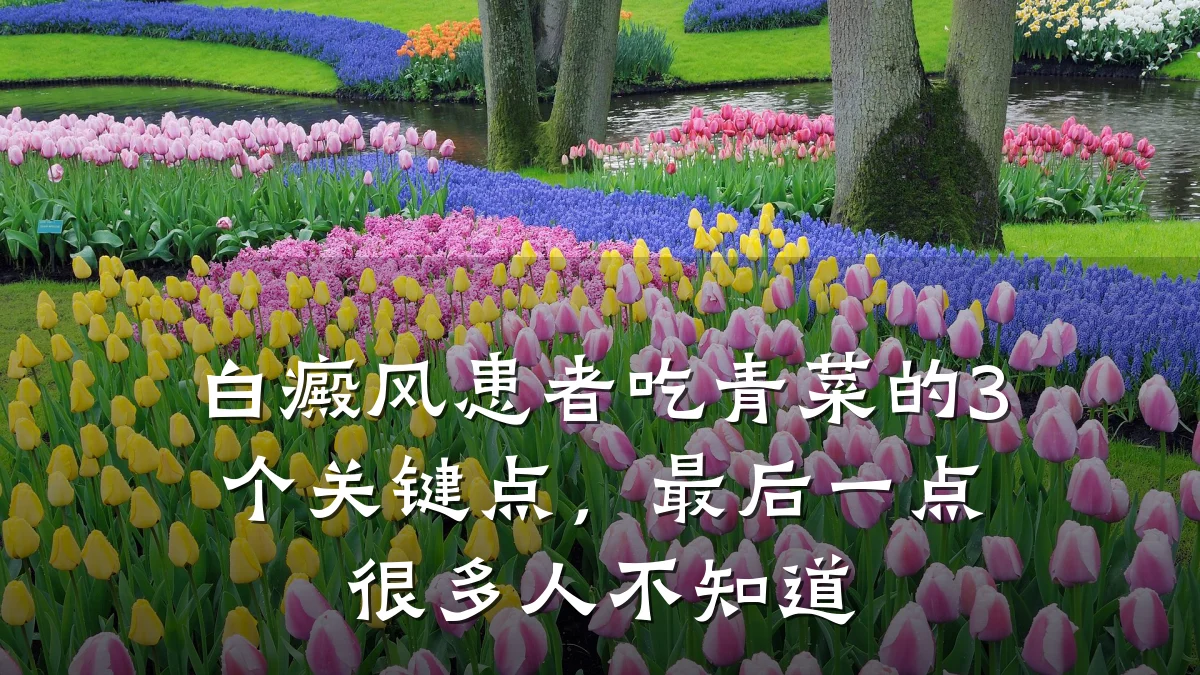 白癜风患者吃青菜的3个关键点,最后一点很多人不知道
