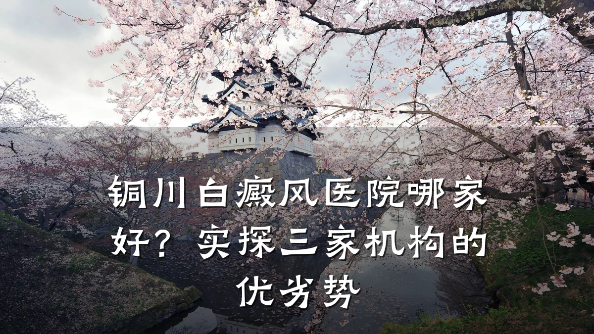铜川白癜风医院哪家好?实探三家机构的优劣势